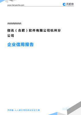 微讯(合肥)软件杭州分公司企业信用报告-天眼查